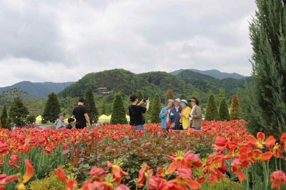 포천 한탄강 가든페스타 2026