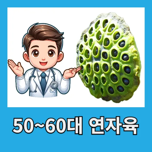 &quot;연꽃의 씨앗 연자육&quot;