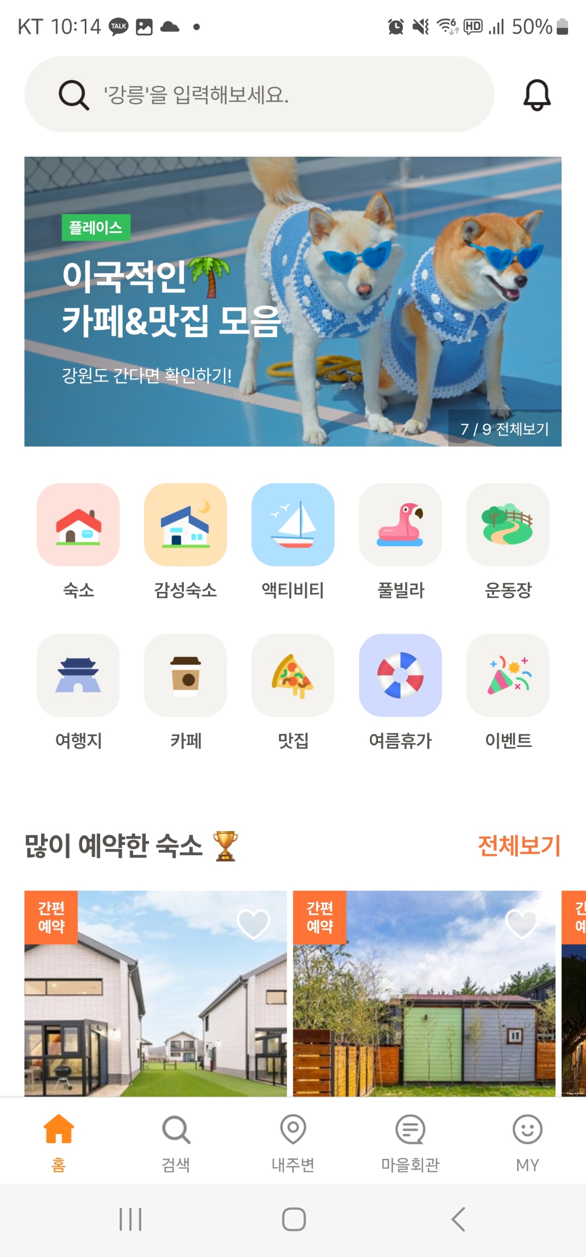 내-주변-애견동반-카페-찾기