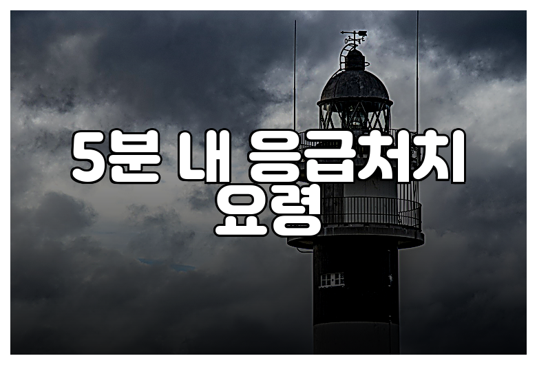 5분 내 응급처치 요령
