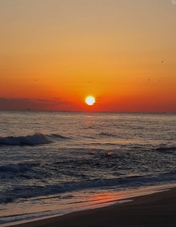 동해 명소 가볼만한곳 바다낚시