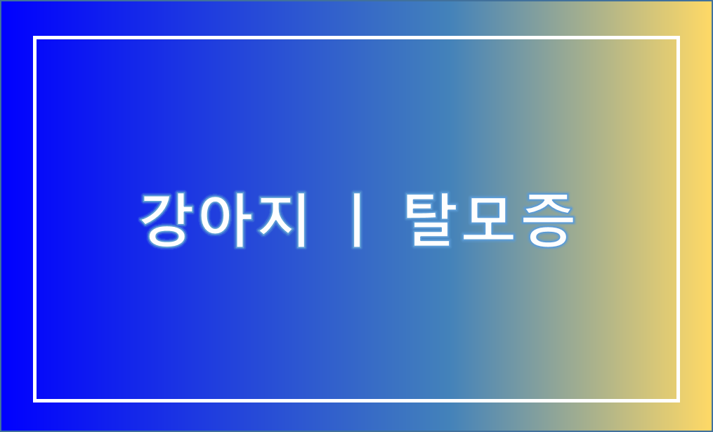 개 강아지 탈모증