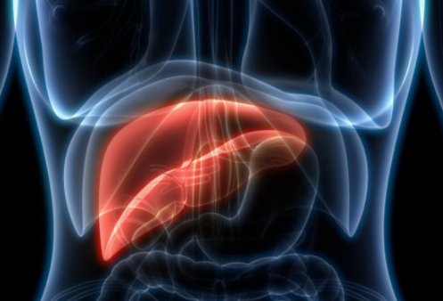 간 수치 검사의 정상 범위와 낮거나 높으면 그 의미와 증상
