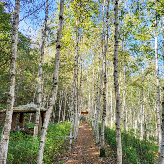 태백 가볼만한곳 베스트10