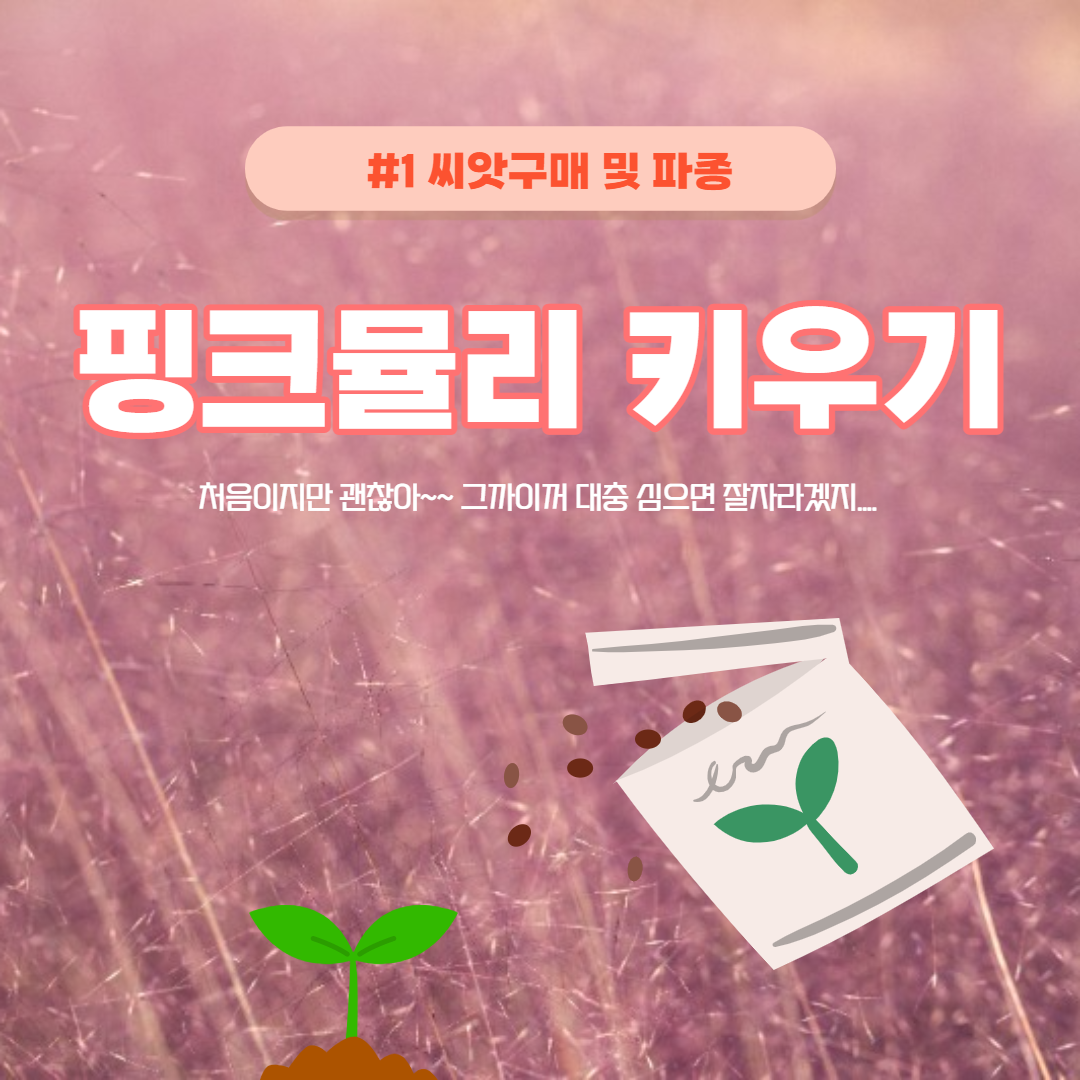 핑크뮬리 키우기