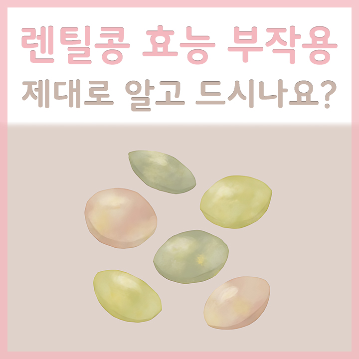렌틸콩