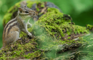 화담숲 예약 방법&amp;#44; 모노레일 시간