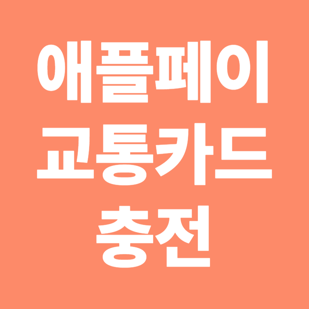 애플페이 교통카드 등록 충전 방법 티머니 현대카드