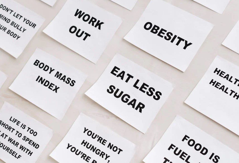 다이어트 성공 후기&amp;#44; 3개월 동안 12kg 감량한 현실적인 방법 공개