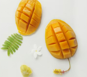 비타민E가 많은 음식