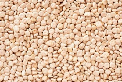 루피니빈영양성분