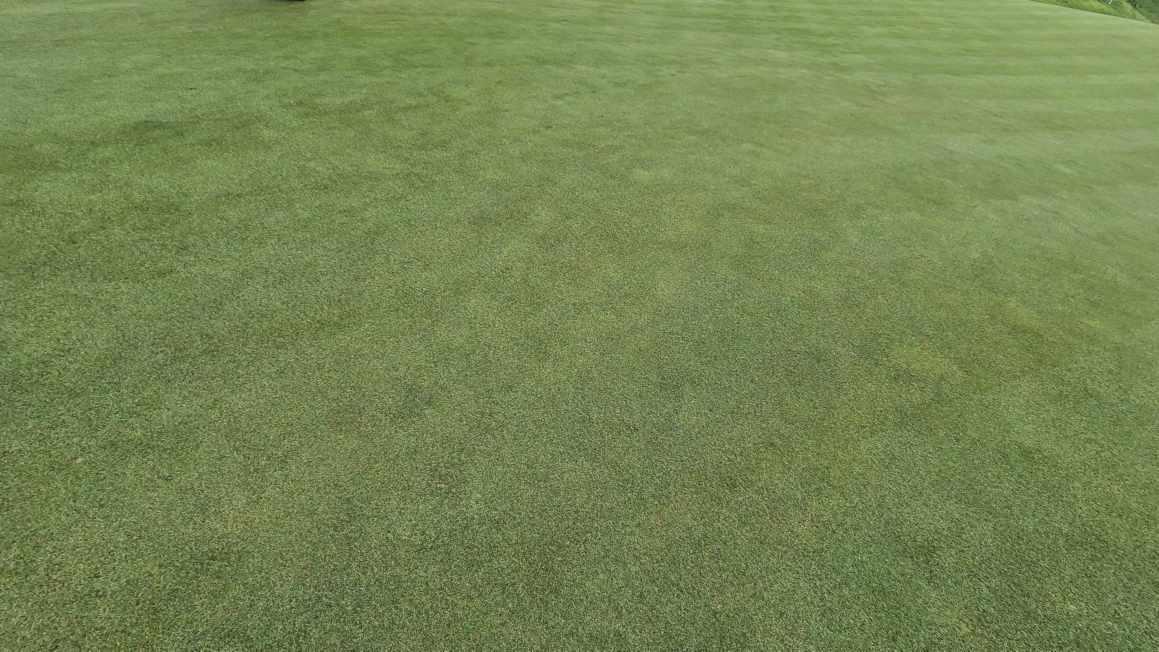 샴발라cc 라운드 후기