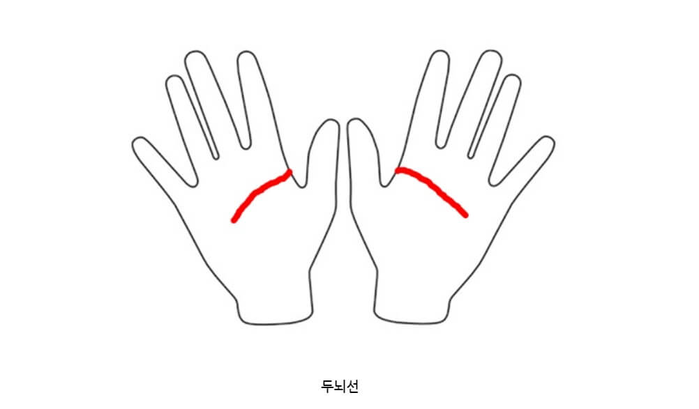 남자 손금 보는 법-두뇌선