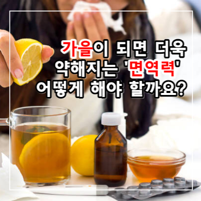 가을이 되면 약해지는 면역력 높여주는 음식은?