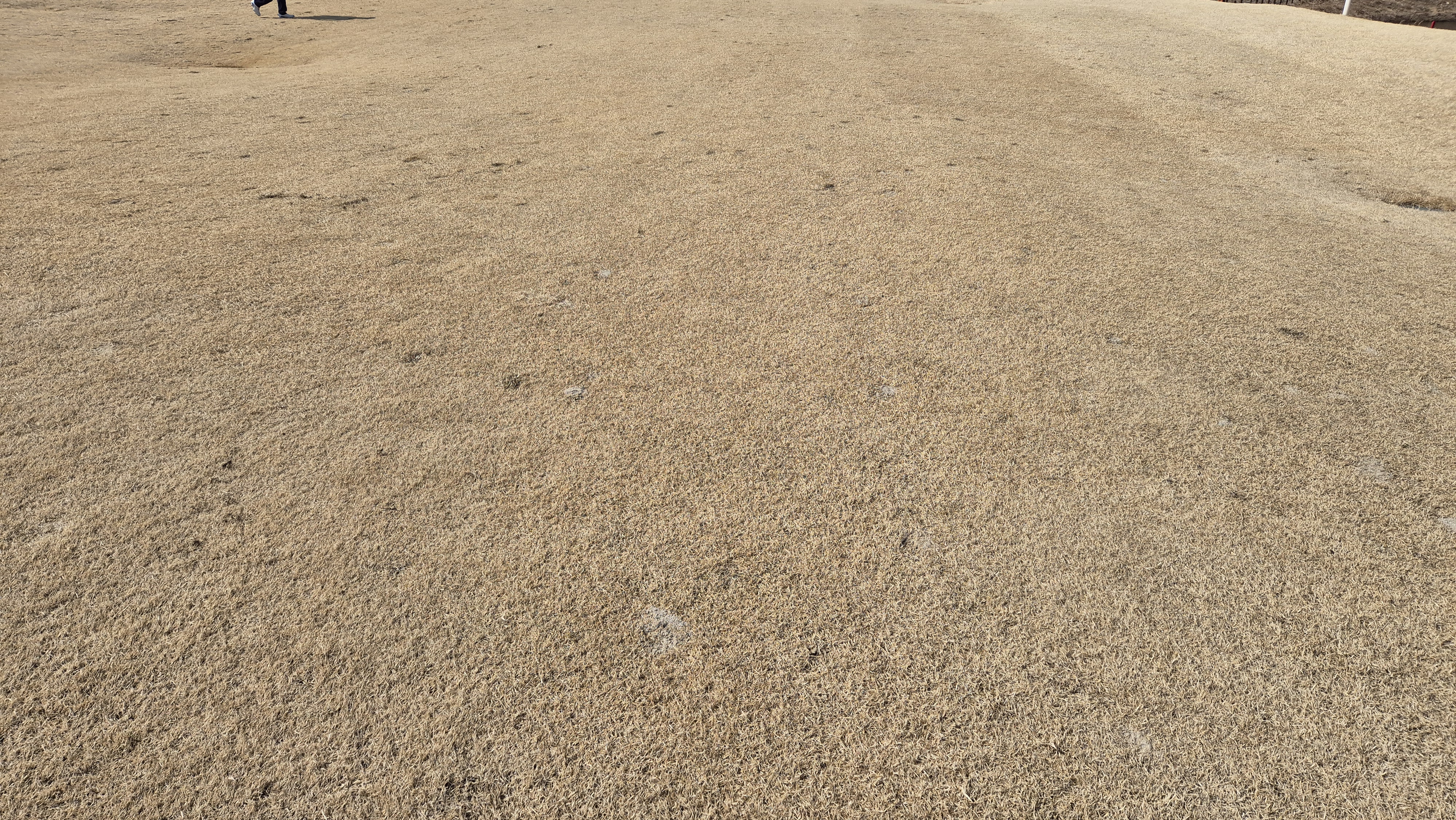 이글몬트cc 히든-이글 코스 라운드 후기