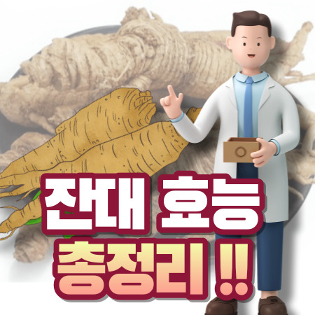 잔대 효능, 사삼 효능