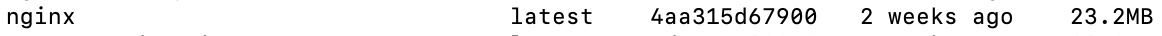 nginx images 조회 결과