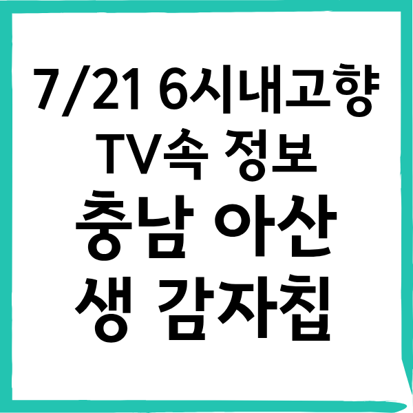 7/21 6시내고향 충남아산 생 감자칩 구매방법