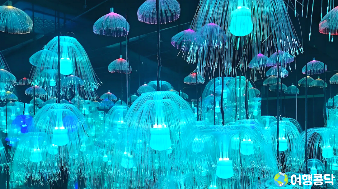 9️⃣ 제주홀릭뮤지엄 &ndash; 감각적인 미디어 아트 체험 공간