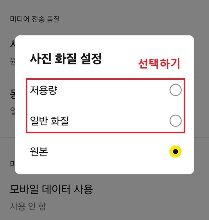 사진 화질 설정 창 보임