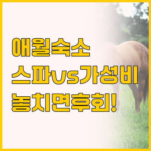 제주도 애월 숙소 고민 끝 씨스테이 ..