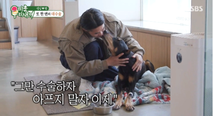 배정남 벨