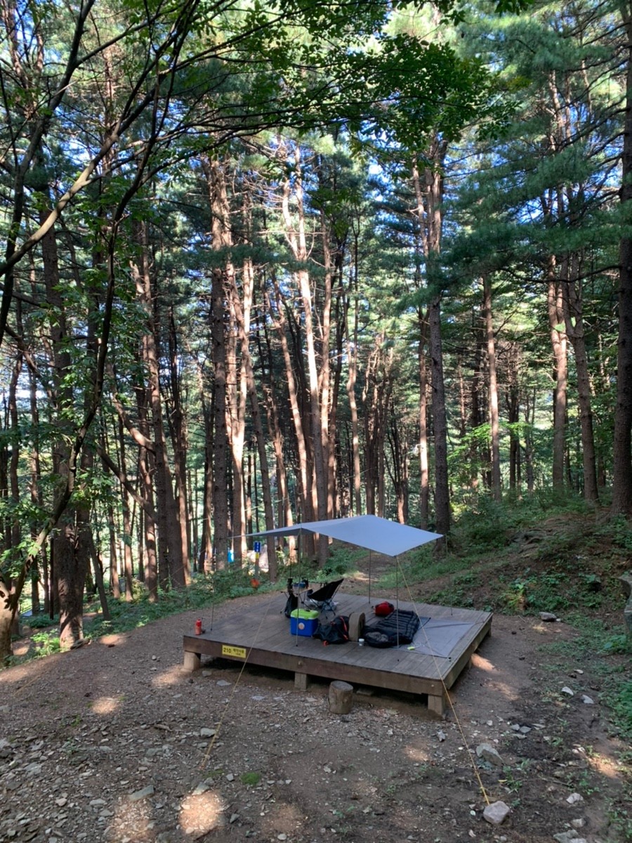 축령산자연휴양림