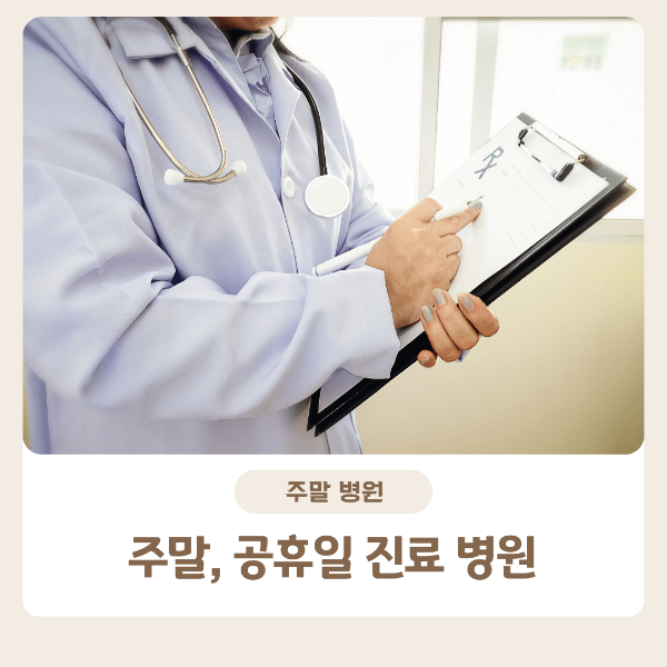 주말 진료 병원