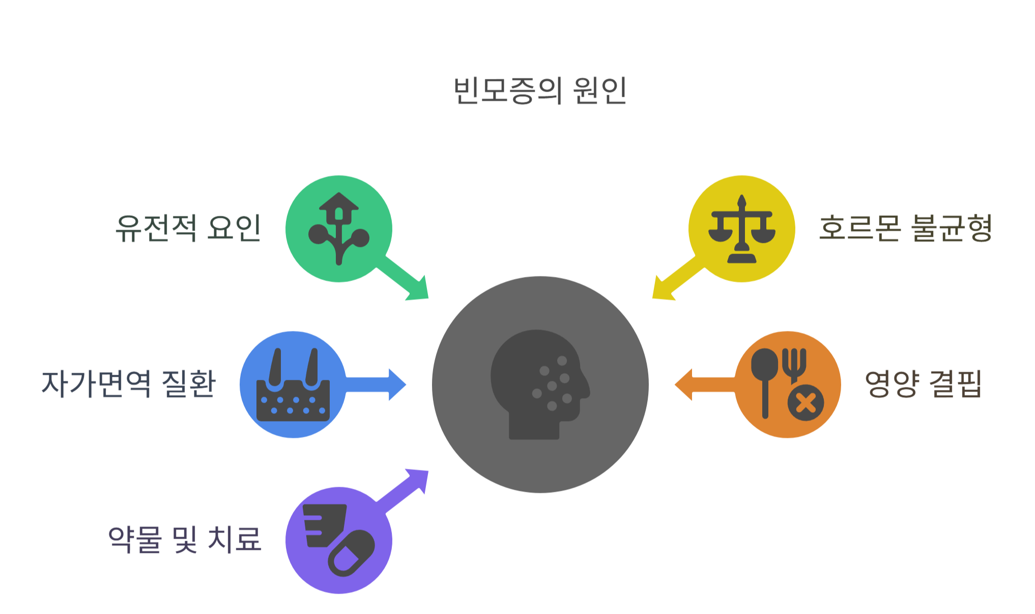 빈모증의 주요 원인들