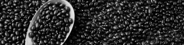 서리태 파종시기, 서리태콩 심는시기: 5월 중순에서 6월 중순