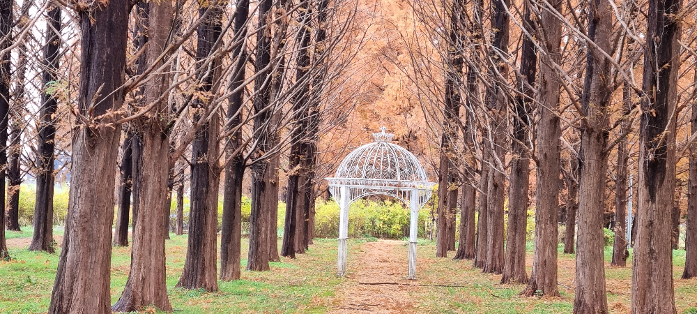 대전 셀프 웨딩 촬영 장소