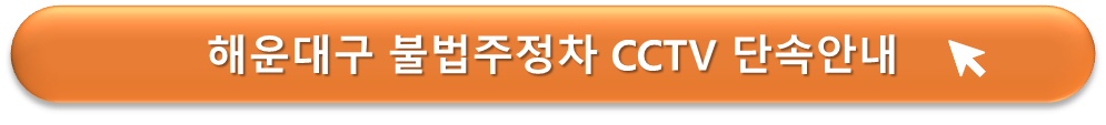 해운대구 불법 주정차 CCTV 단속