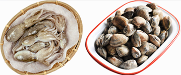 4월 제철 해산물