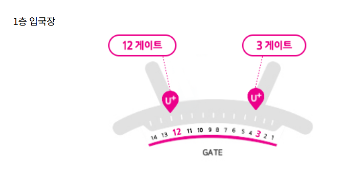 LGU+ 알뜰폰 로밍