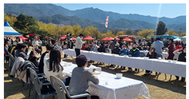 구례 산수유축제