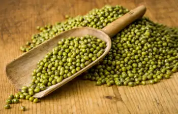 녹두 효능 및 영양성분,녹두 가격