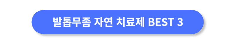 버튼