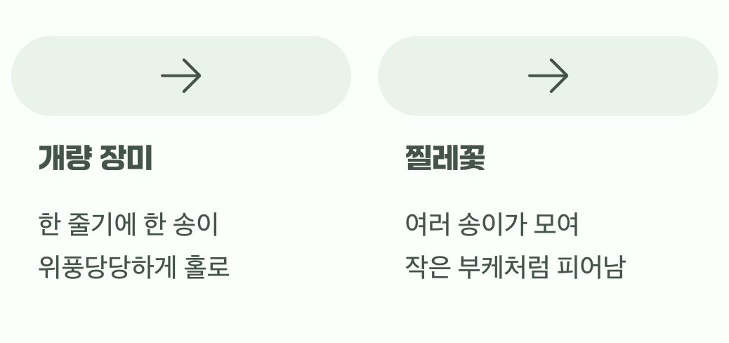 결정적 차이 2: 홀로 vs 함께