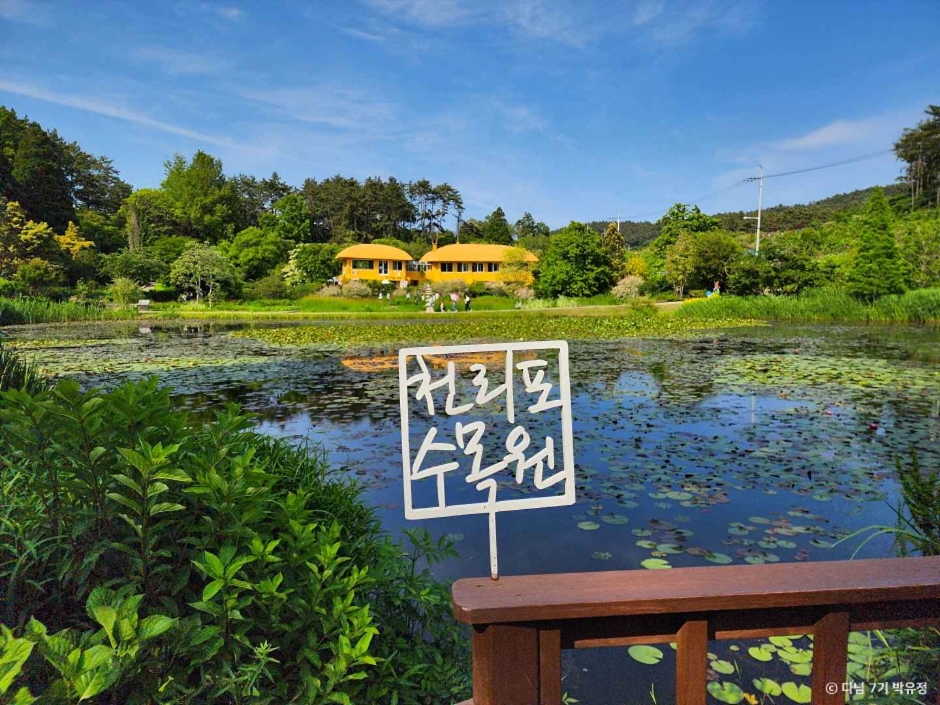 천리포수목원 저수지 사진