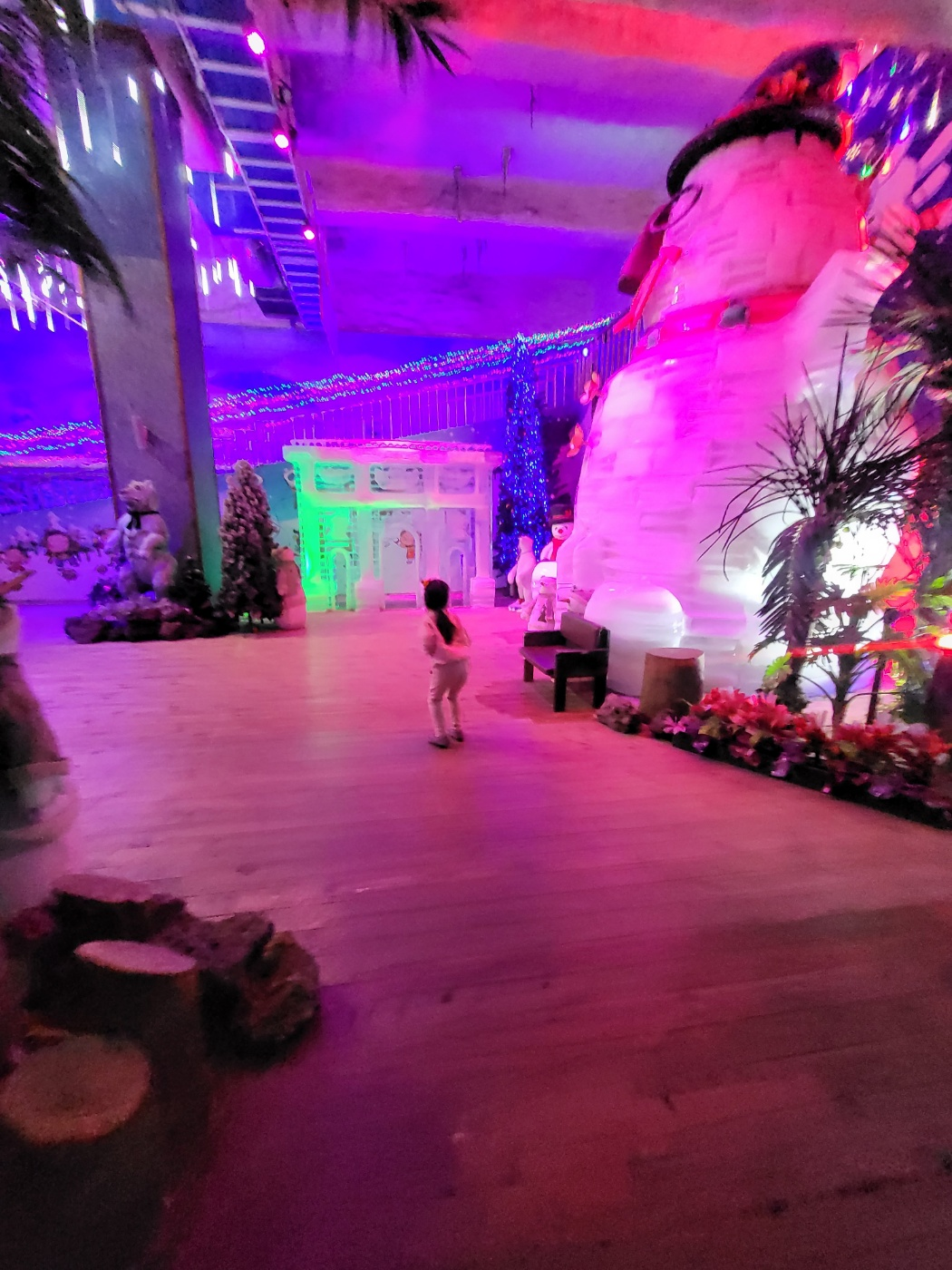 제주도 가볼 만한 곳 (수목원테마파크)