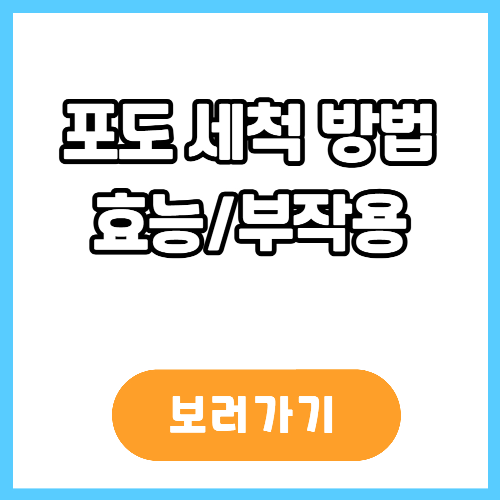 포도 세척 방법