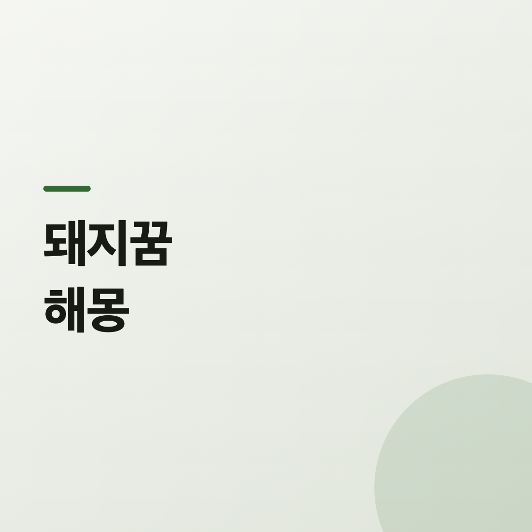돼지꿈 해몽 카드