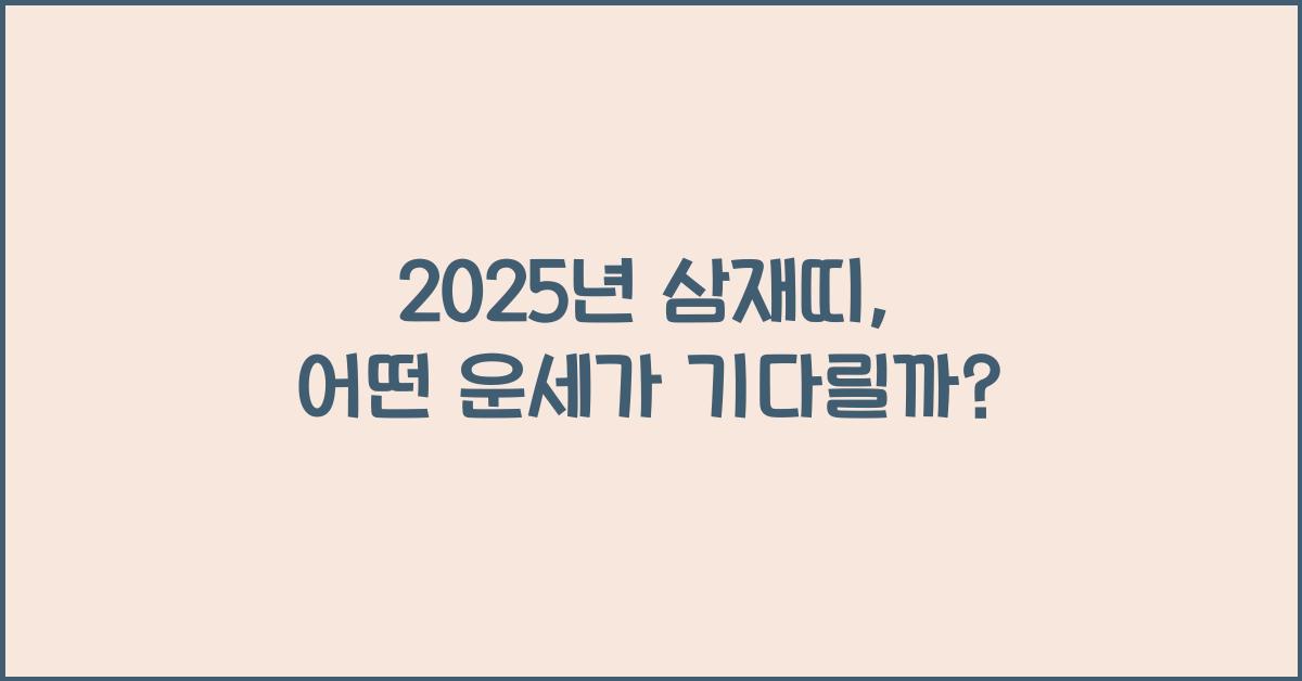 2025년 삼재띠