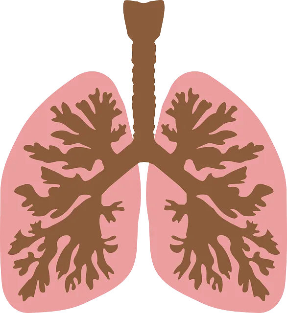  가슴이 콕콕찌르는증상
