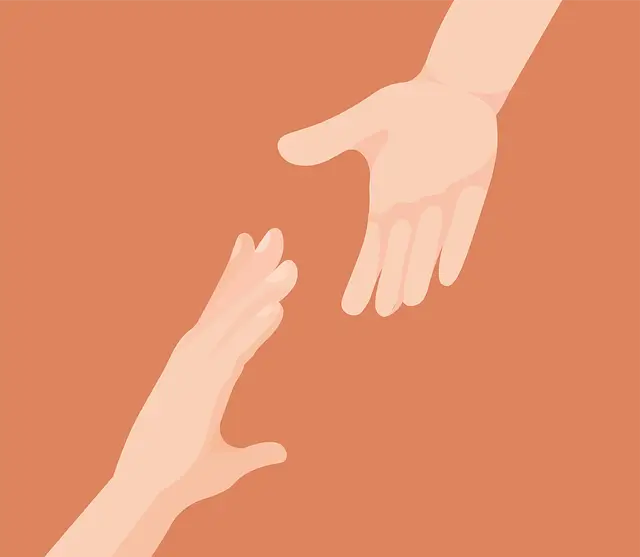 마이크로 니치 창업 분석 시골살이