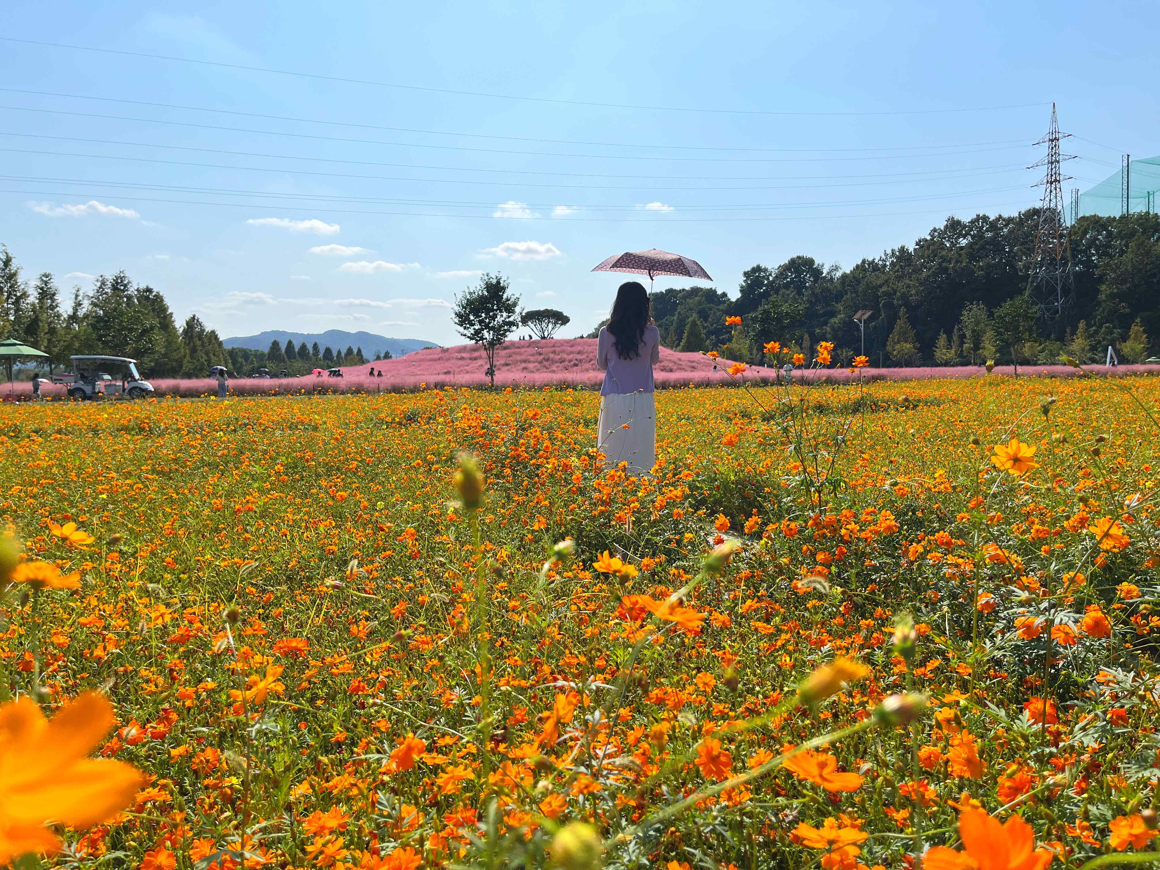 신소양체육공원