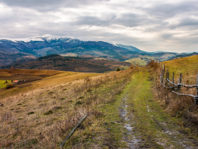 농지연금 가입조건 수령액 계산 총정리