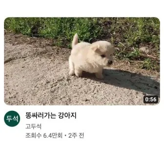 가는 똥 이유와 똥이 가늘게 나오는 이유 분석_16