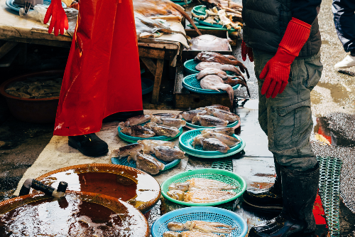 고향 사랑의 날 공모 방법