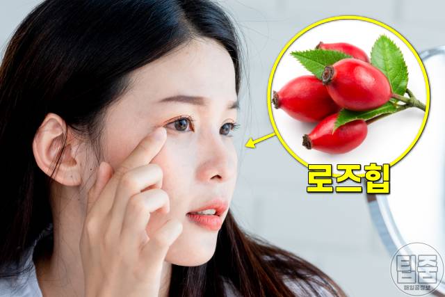 얼굴 하얘지는법,얼굴 하얘지는 음식 화장품 로즈힙 분말 오일 효능,팁줌